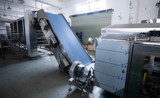 High Customization Flour Tortilla Making Machine 8 Inch To 10 Inch To 12 Inch
