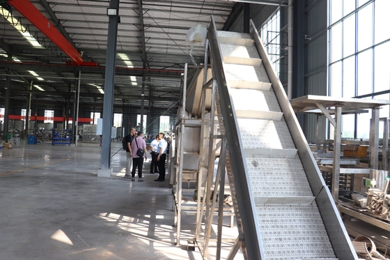 Aseptic Mango Pulp Filling Machine Destone Mango Pulp Processing Plant 220V / 380V / 415V