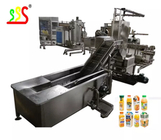 Stainless Steel Food Grade Fruit Vegetable Processing Line With Customized Capacity