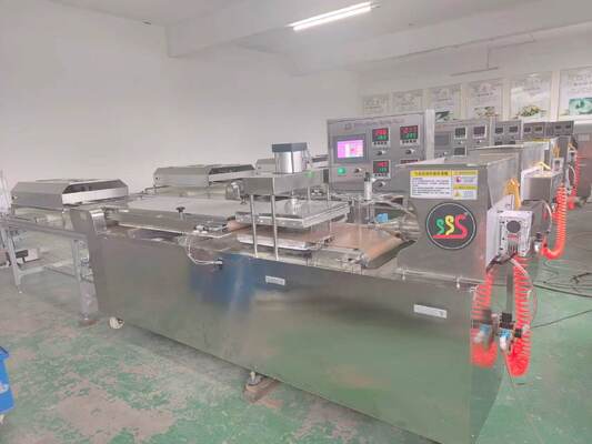 Automatic Roti Production Line with 35kg/hour Capacity, Stainless Steel Construction and PLC Control