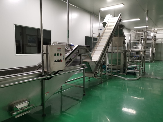 Stainless Steel Customized Mango Puree Production Line 300 - 500kg/h Capacity