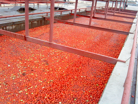 Semi Automatic Tomato Paste Processing Line 0.5t/H