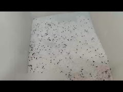 小型色の選別機